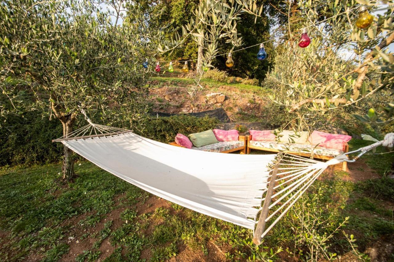 לוקה Casetta Di Butia, Appartamento Iris מראה חיצוני תמונה